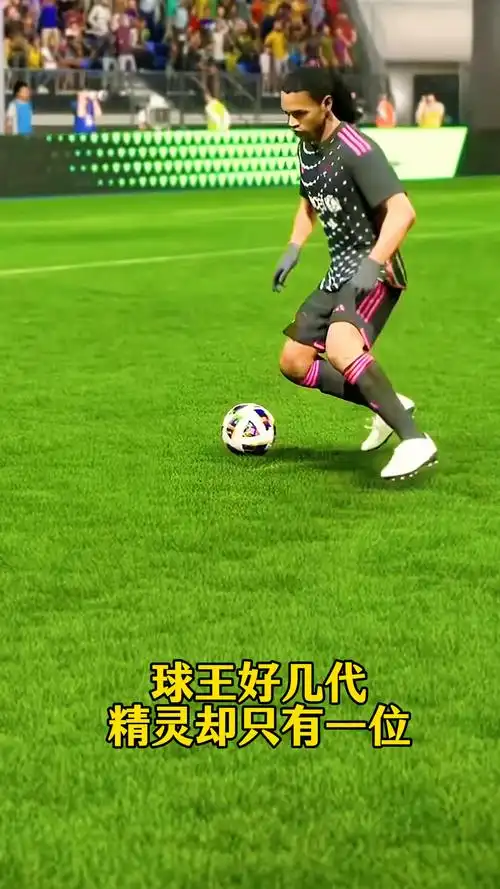 其華麗的傳